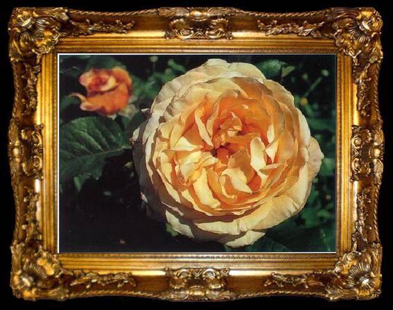 framed  unknow artist Still life floral, all kinds of reality flowers oil painting  182, ta009-2